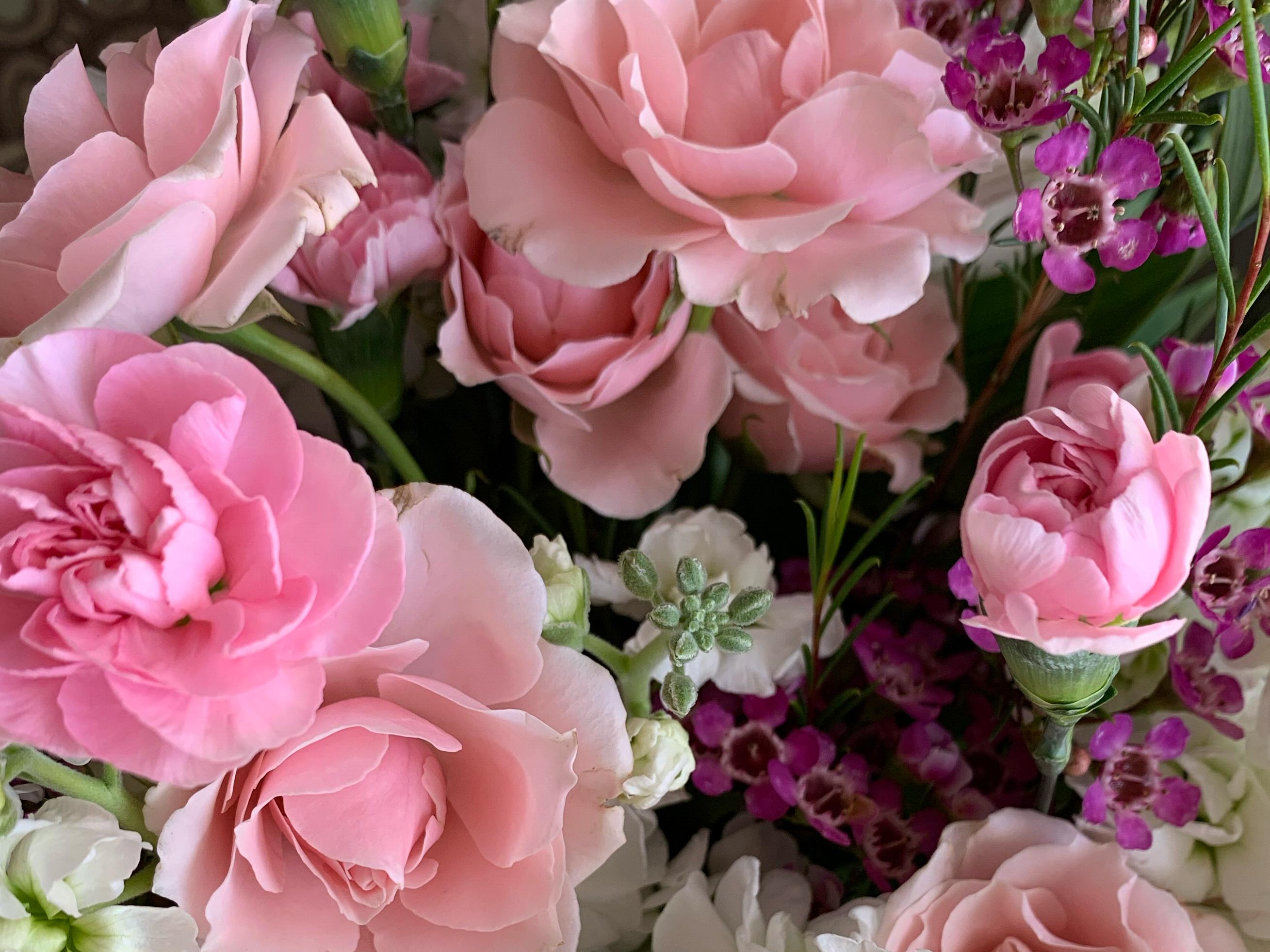The Wedding Website of Charles Smolic and Breanne Hastings