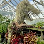 Buffalo Botanical Gardens