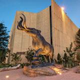 Denver Museum of Nature & Science