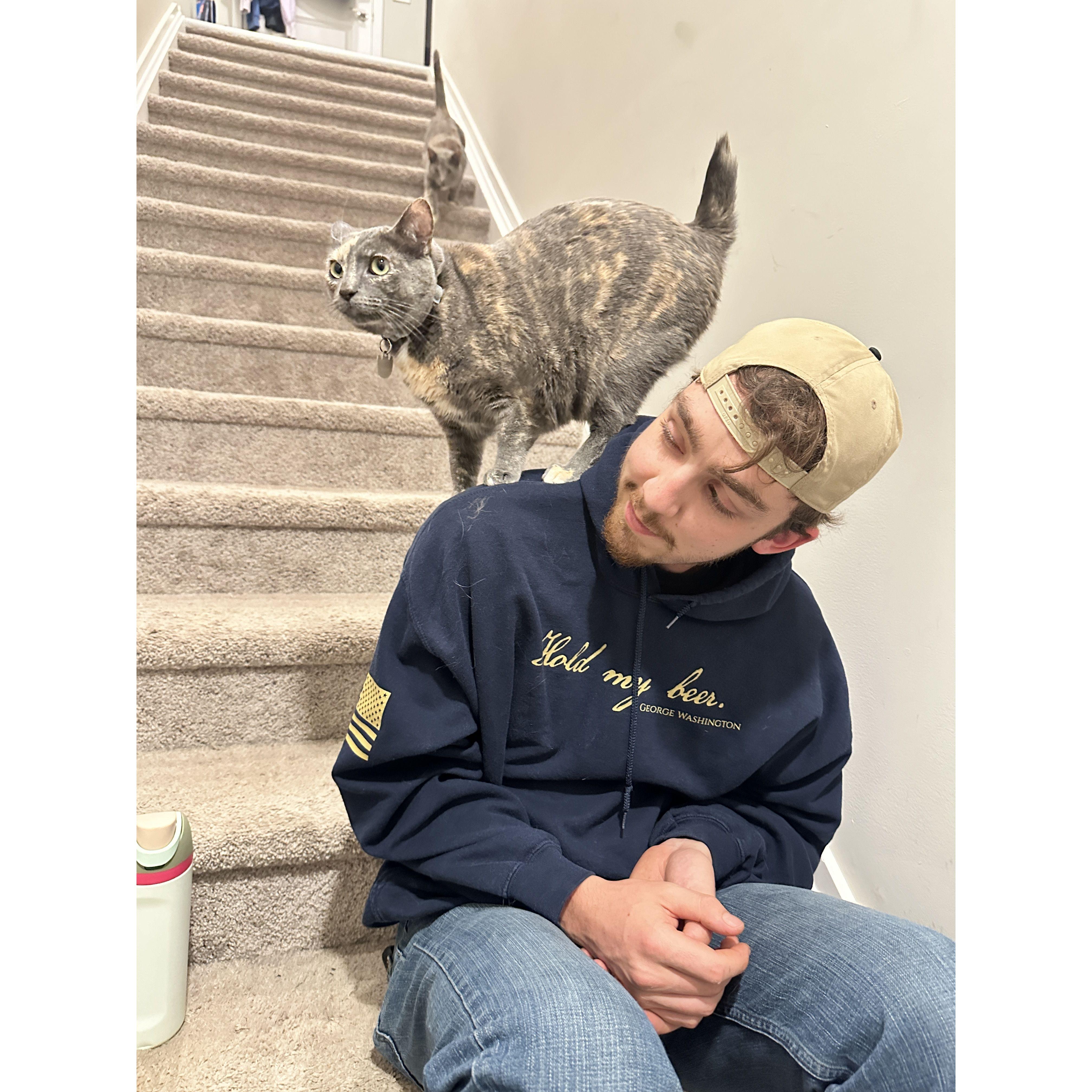 this is Jasmine, she is in fact a cat and not a parrot.