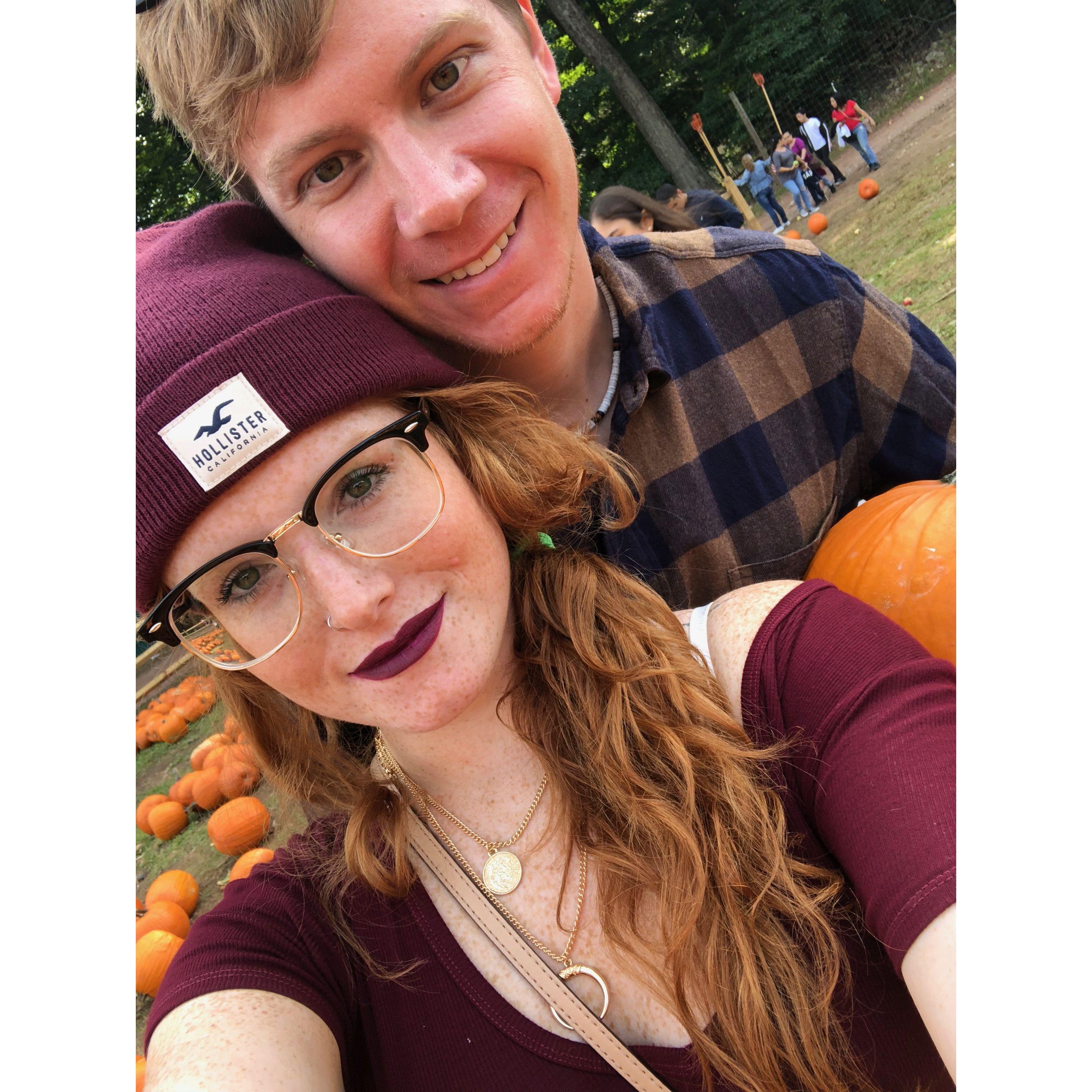 Pumpkin Picking in 2018