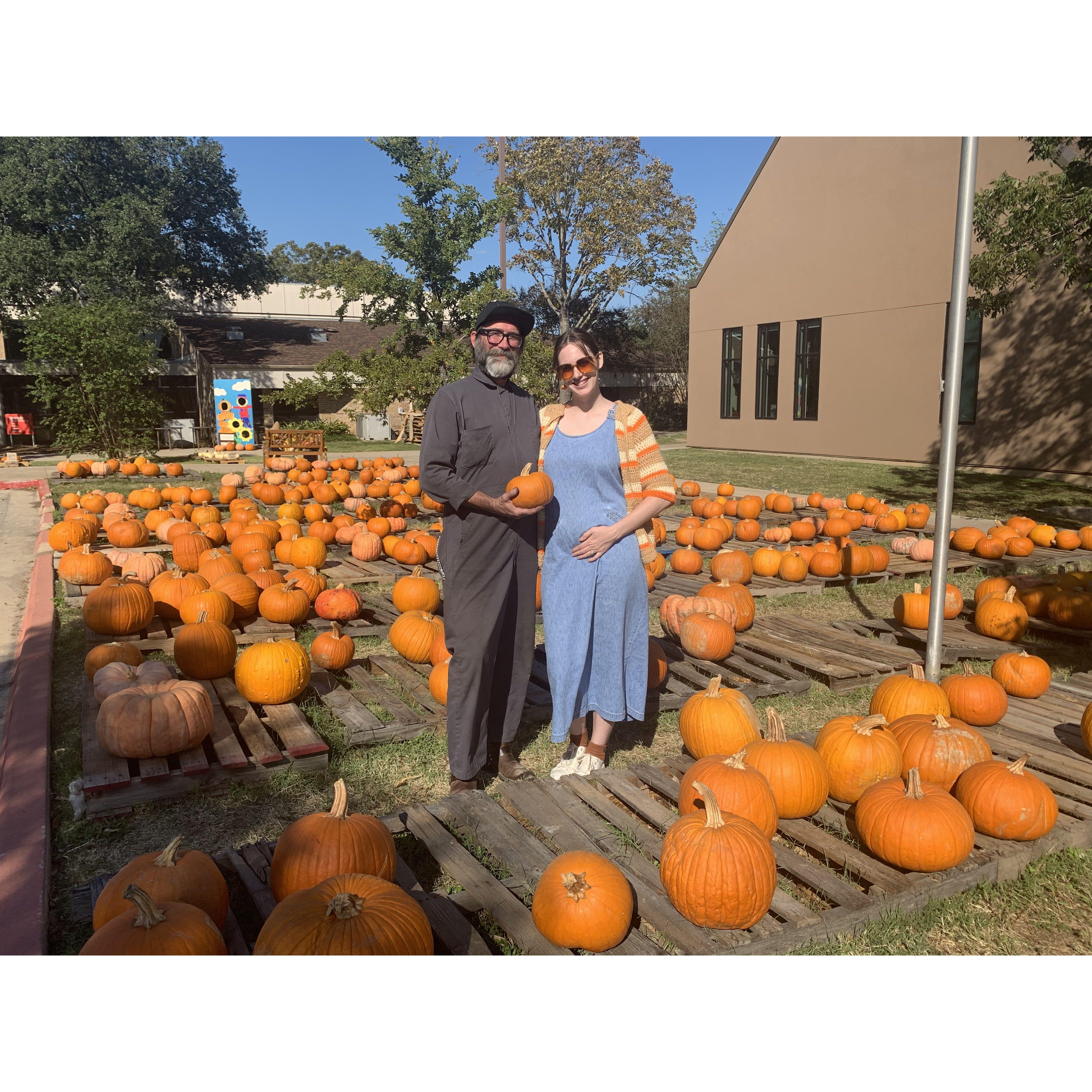 Pumpkin Patch 2022