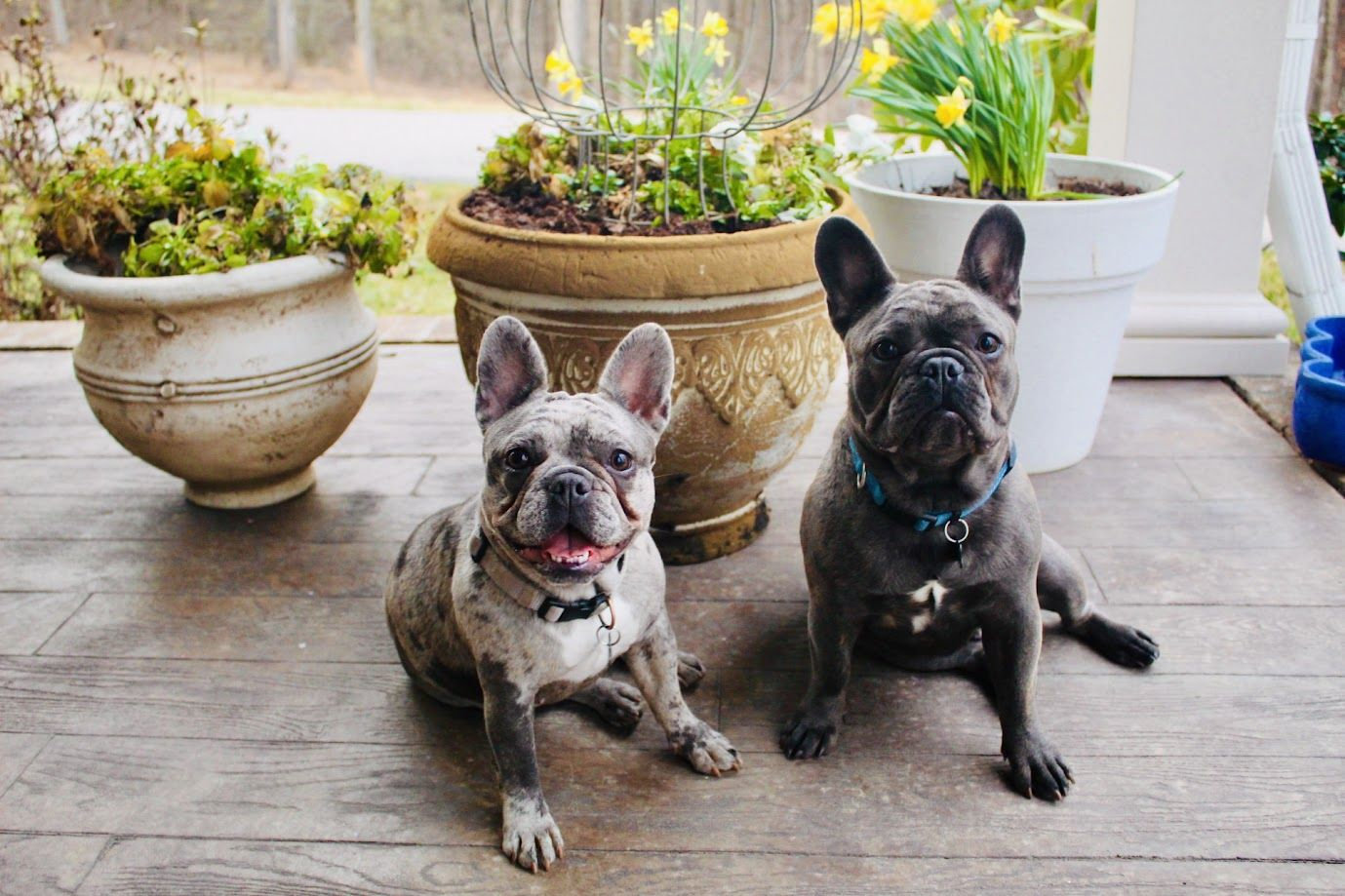 The Wedding Website of Natalie Cummings and Joseph Woodard
