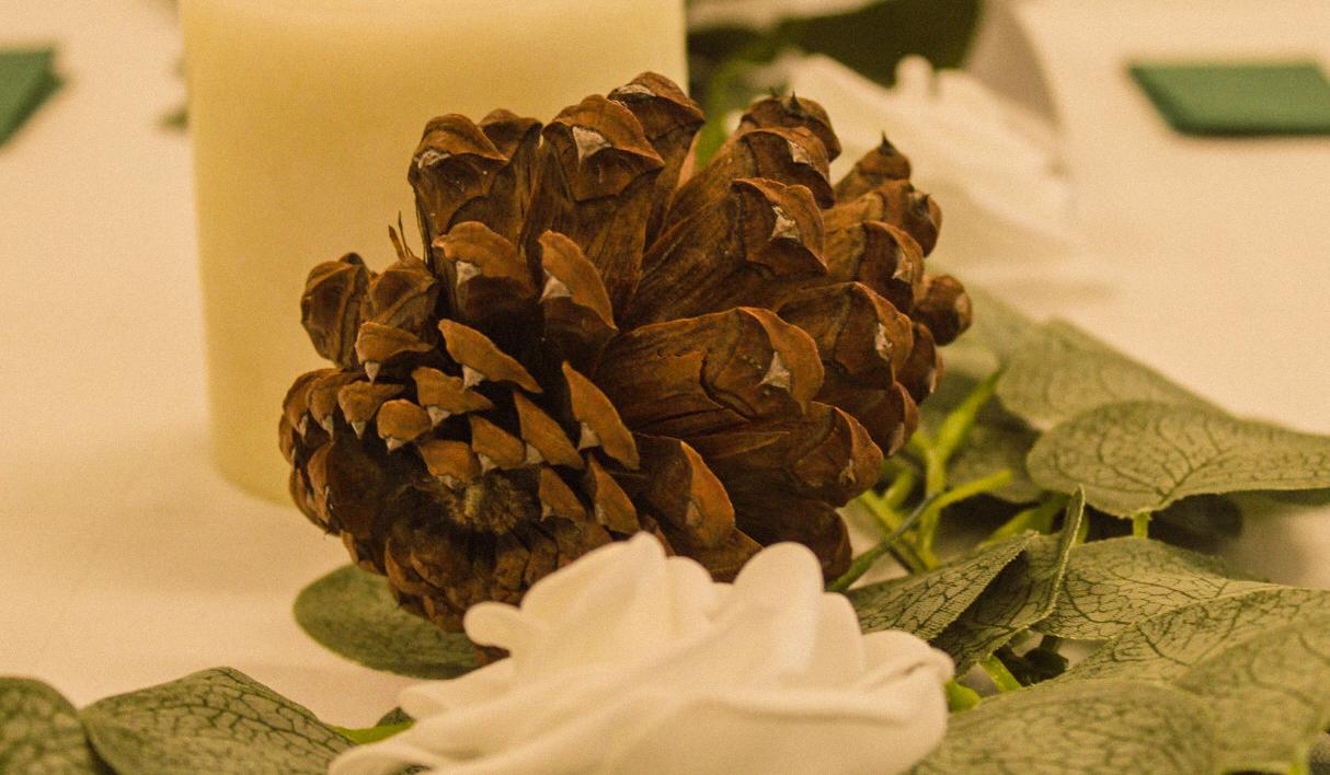 The Wedding Website of Andrea Montpas and Ian Heard