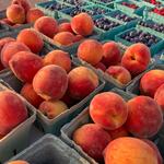 Urbana's Market at the Square