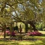 Airlie Gardens
