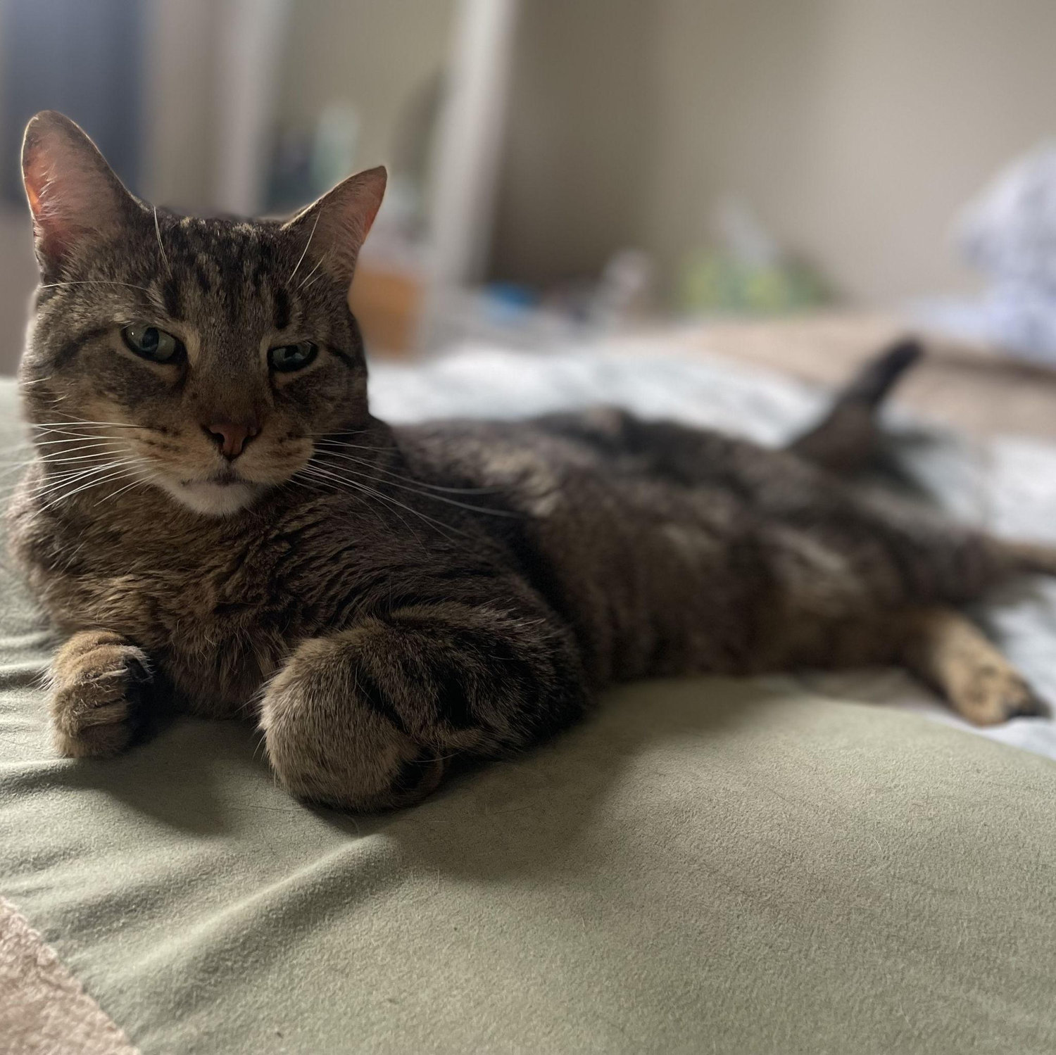 Handsome Igor