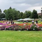 CSU Annual Flower Trial Gardens