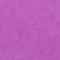 Purple Orchid