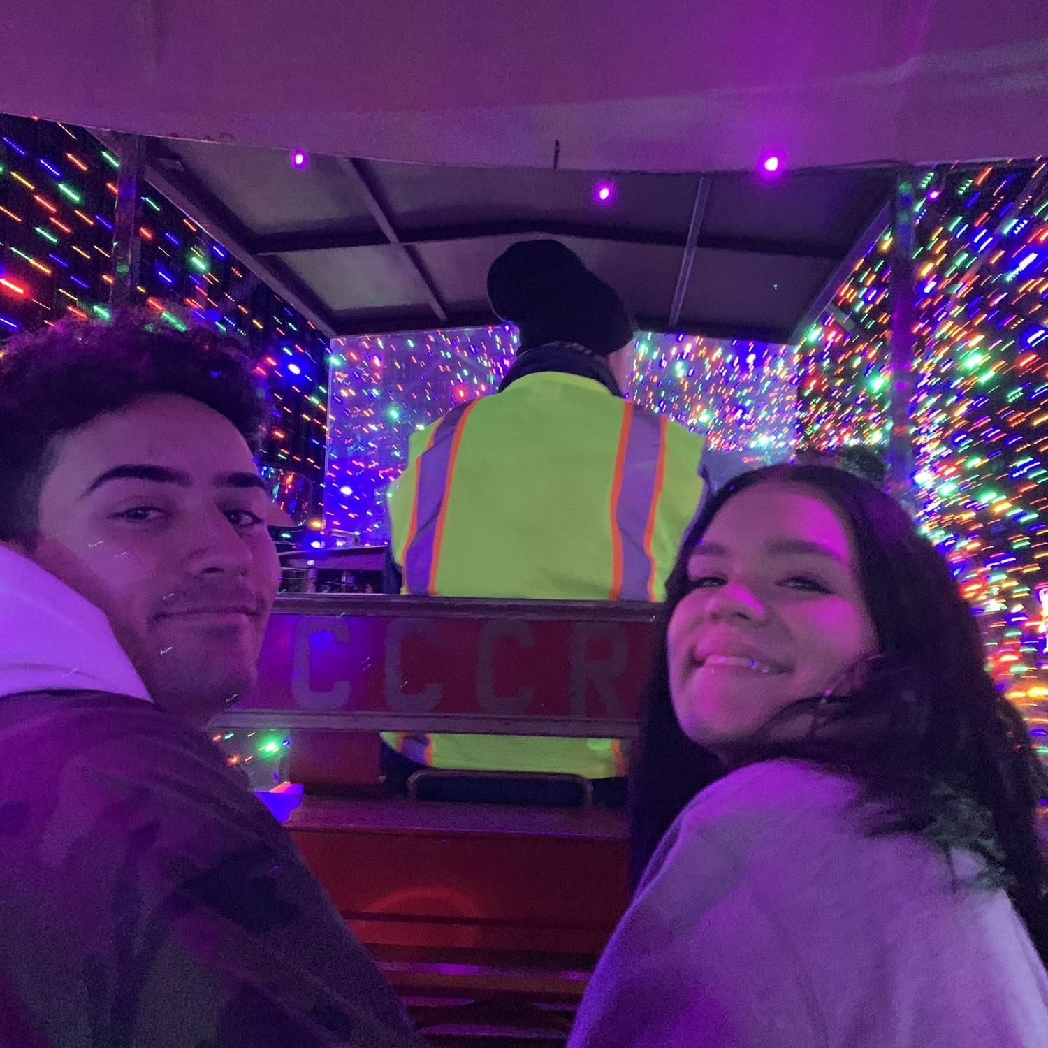 CalmZoo Christmas Lights 2019