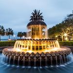 Pineapple Fountain