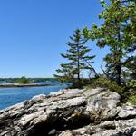 Porter Preserve