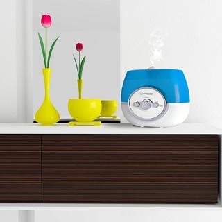 H1510 100-Hour Ultrasonic Warm & Cool Mist Humidifier