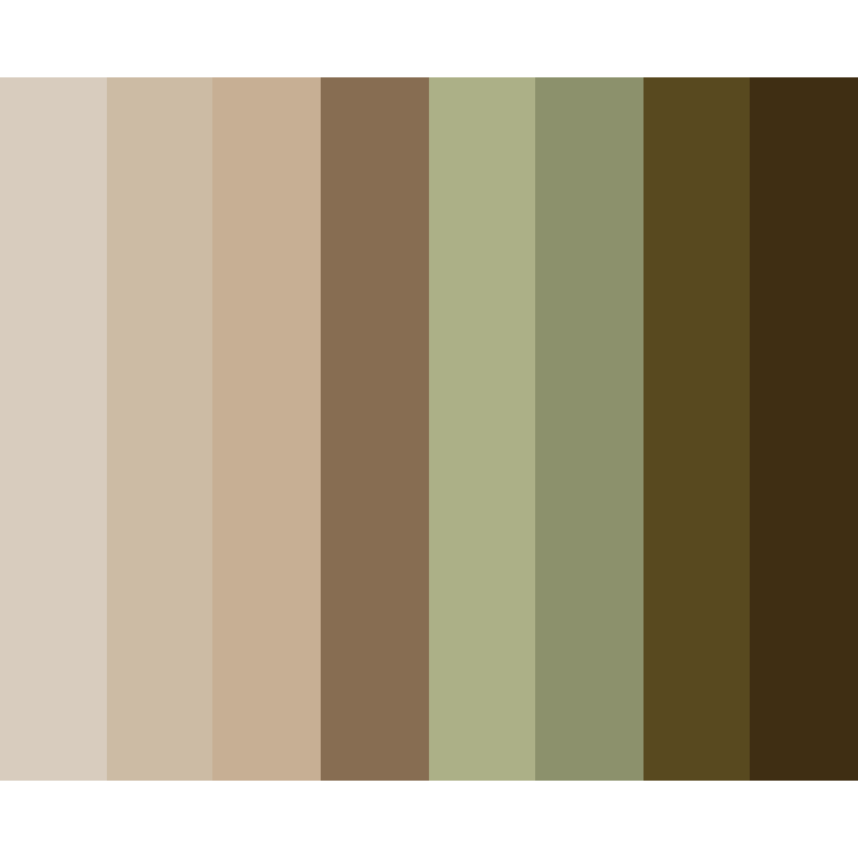 Our preferred color palette