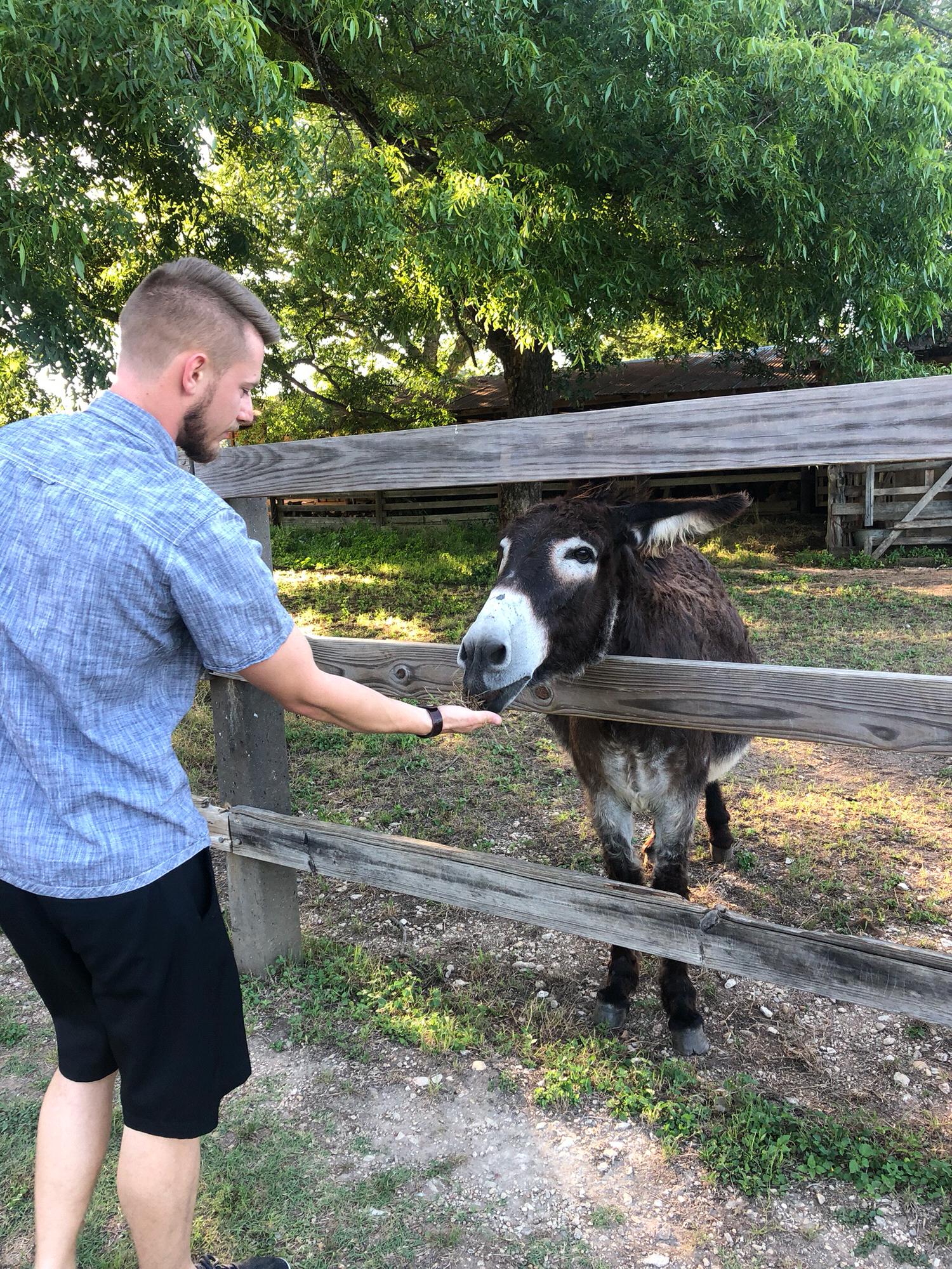 The donkey Landon used to lure me to the proposal site!