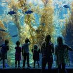 Birch Aquarium at Scripps