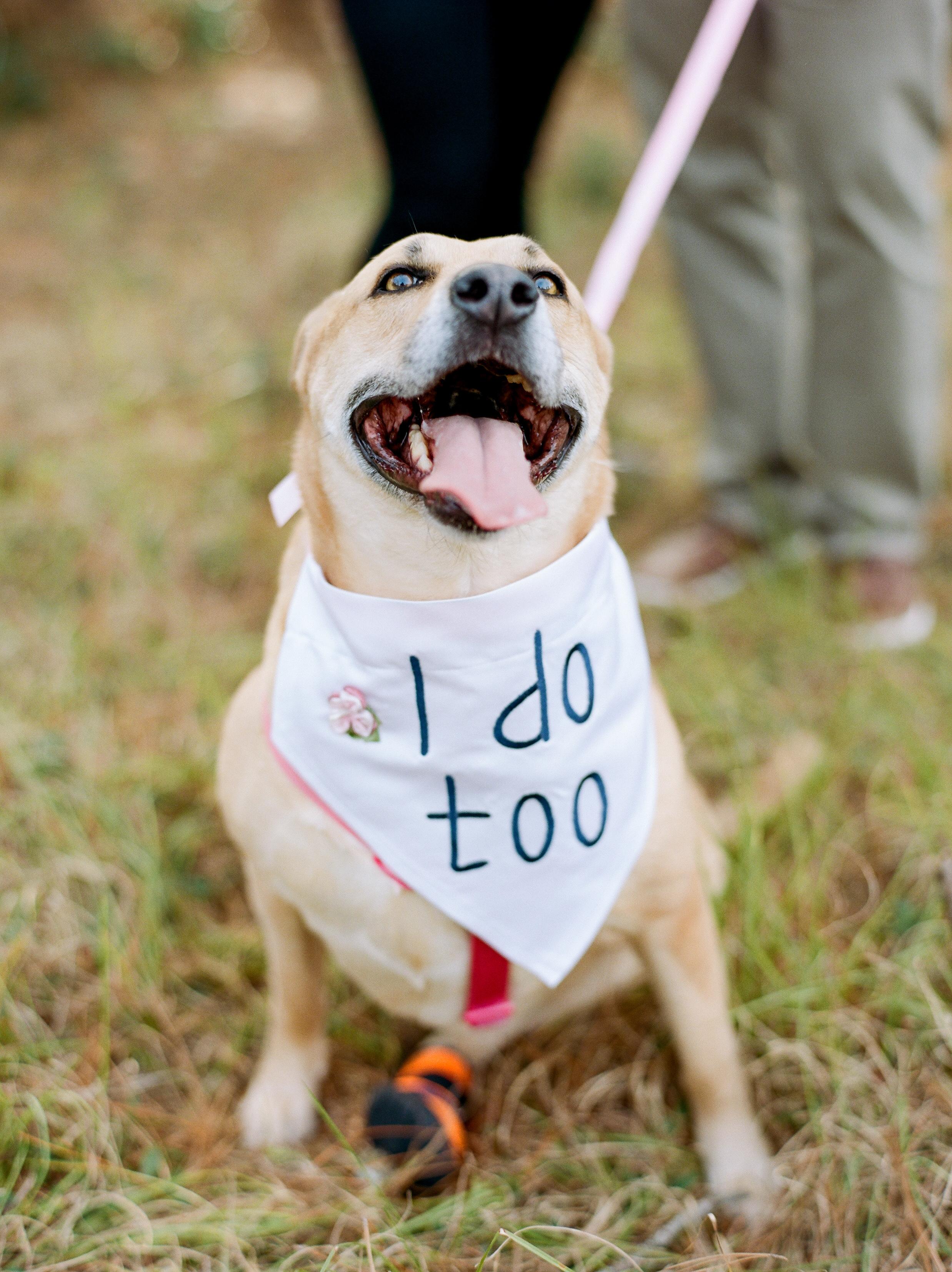 The Wedding Website of Rachel Thompson and Michael Kubanda