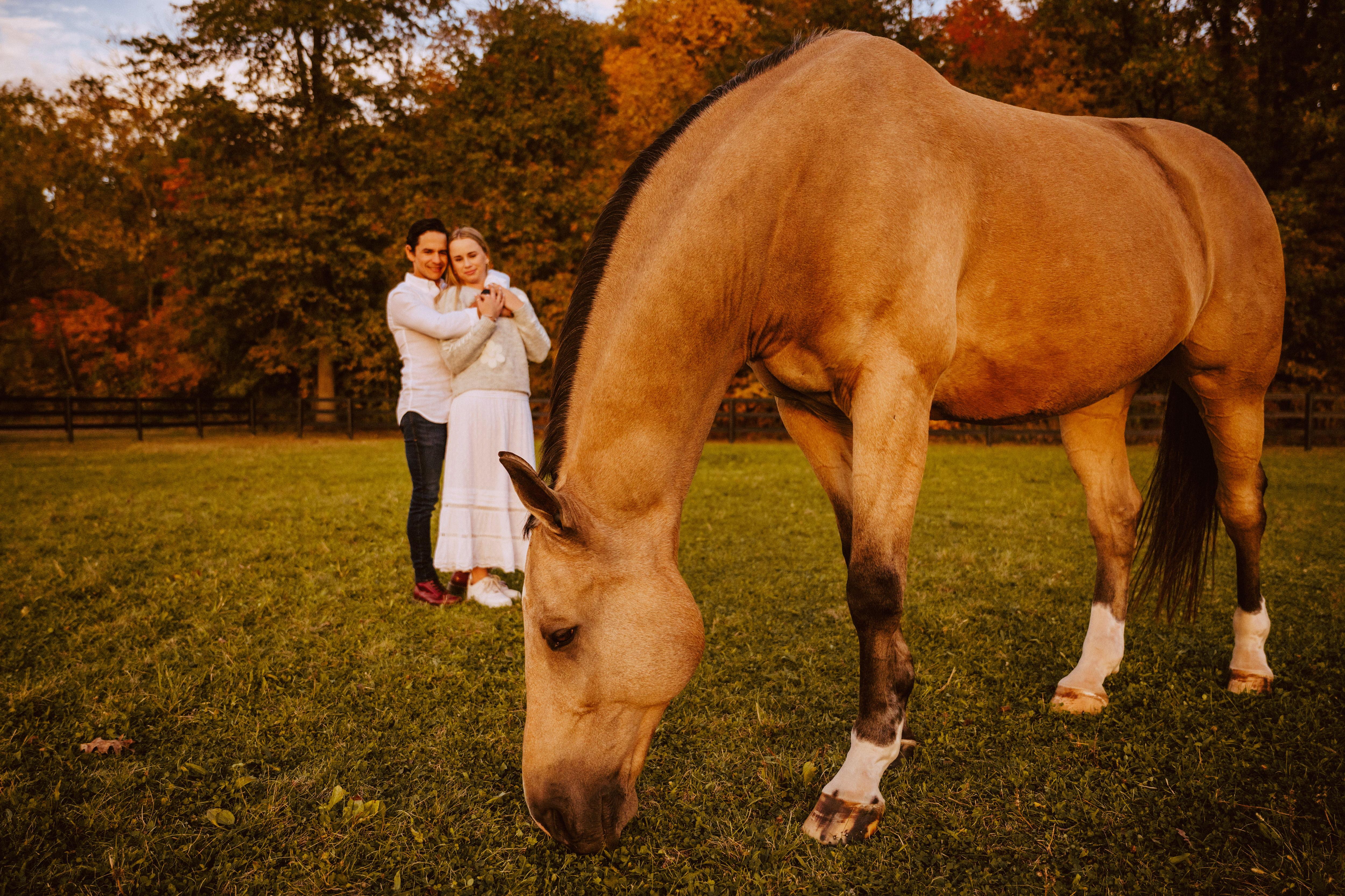 The Wedding Website of Talli Wallin and Mariano Posada