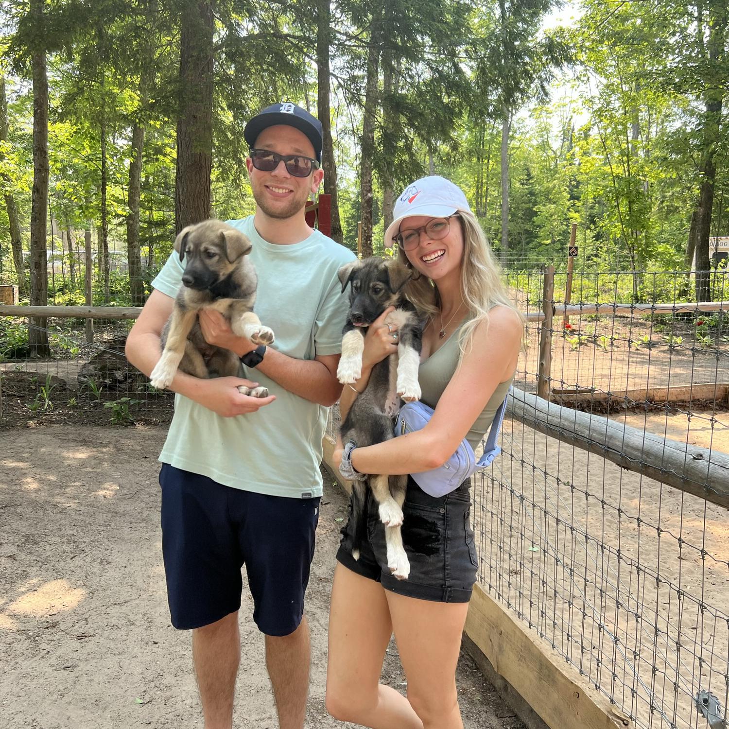 Meeting some sled puppies up north!