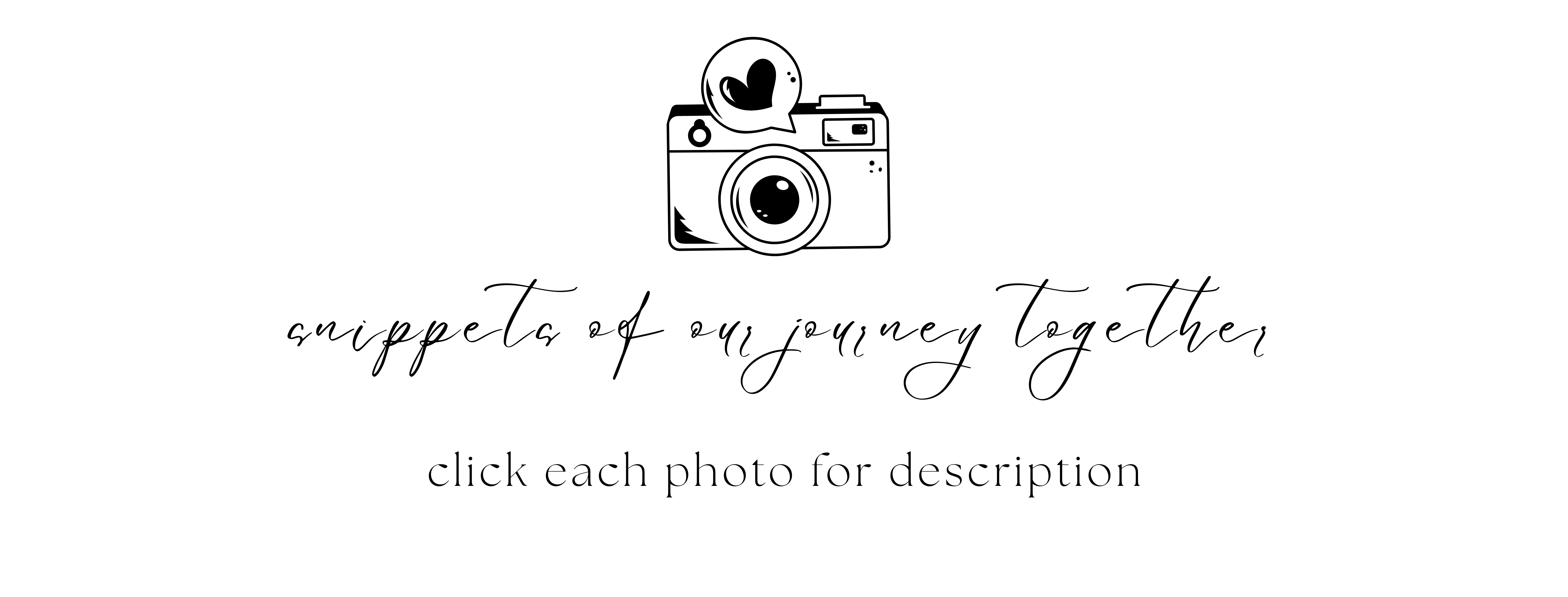 The Wedding Website of Dale Jason and Michelle Anne