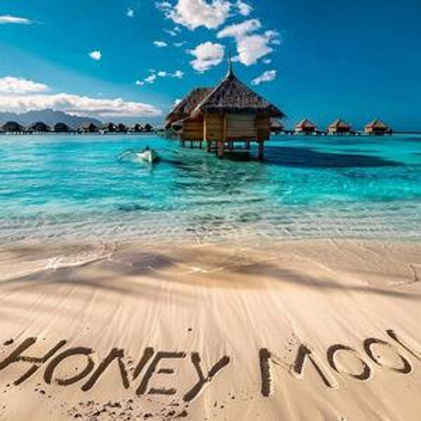 Our Honeymoon Fund