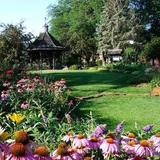 Buxton Park Arboretum