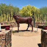 Tohono Chul | Gardens, Galleries, and Bistro