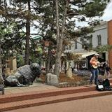Pearl Street Mall
