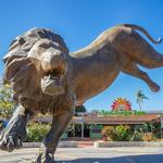 San Diego Zoo