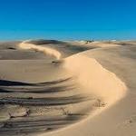 Monahans Sandhills State Park