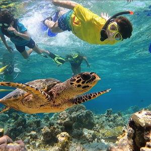 Snorkel Boat Tour