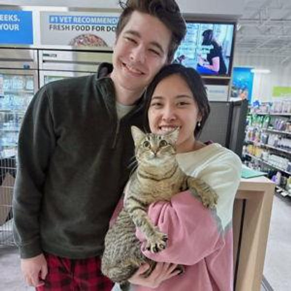 Pet-sitter for Waffle