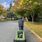 Our Favorite Areas In & Around Seattle