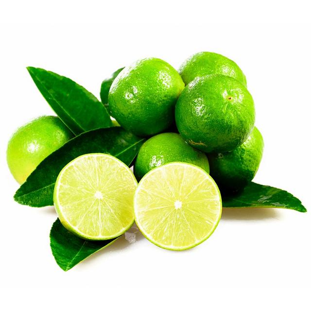 Mexican Key Lime Tree