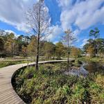 Houston Arboretum & Nature Center