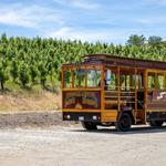 Temecula Valley Cable Car Wine Tours