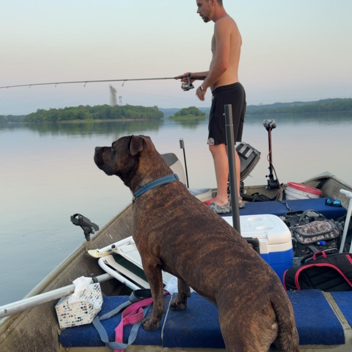 Gixxer looking for fish!