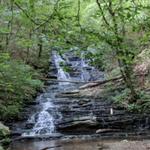 Dawson Forest - City of Atlanta Tract