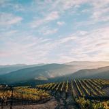 Wine Tasting in Carmel Valley