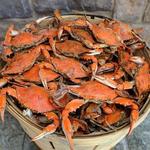 The Crab Bag