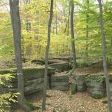 Nelson Ledges Quarry Park