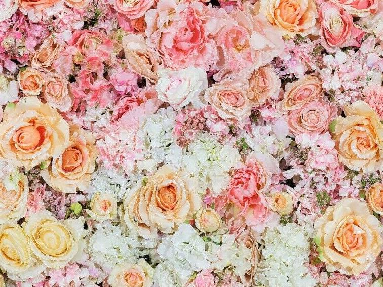 The Wedding Website of Gariema Sharma and Prabhpreet Singh