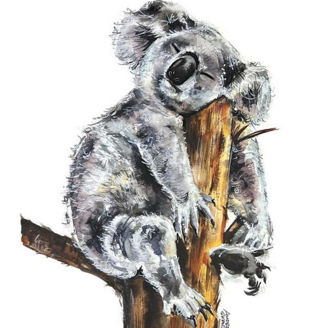 Sleeping Koala / AUDREY SHANTZ ART 8x10
