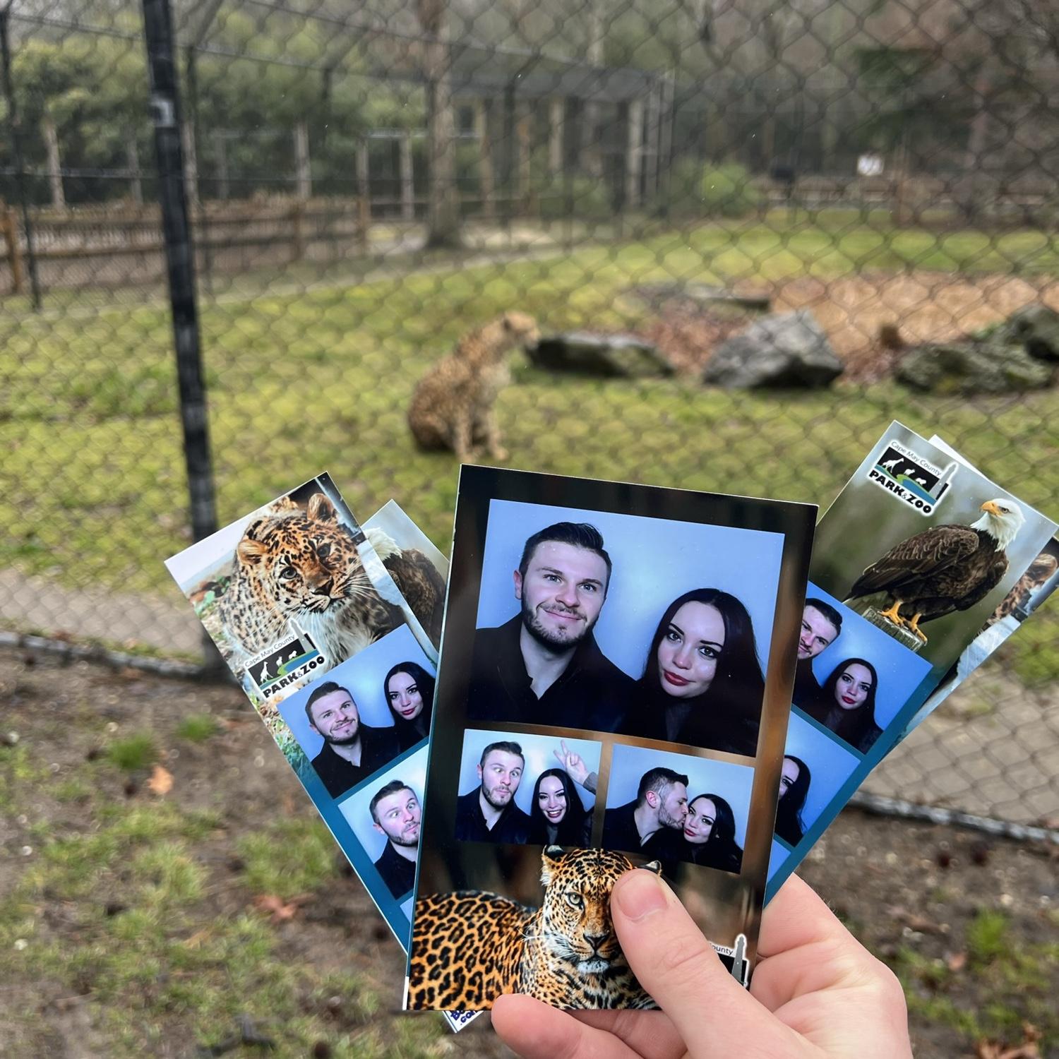 Our anniversary trip concluded with us going to the Cape may zoo and seeing some exotic creatures