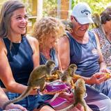 Monkeyland
