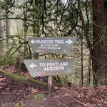 Forest Park