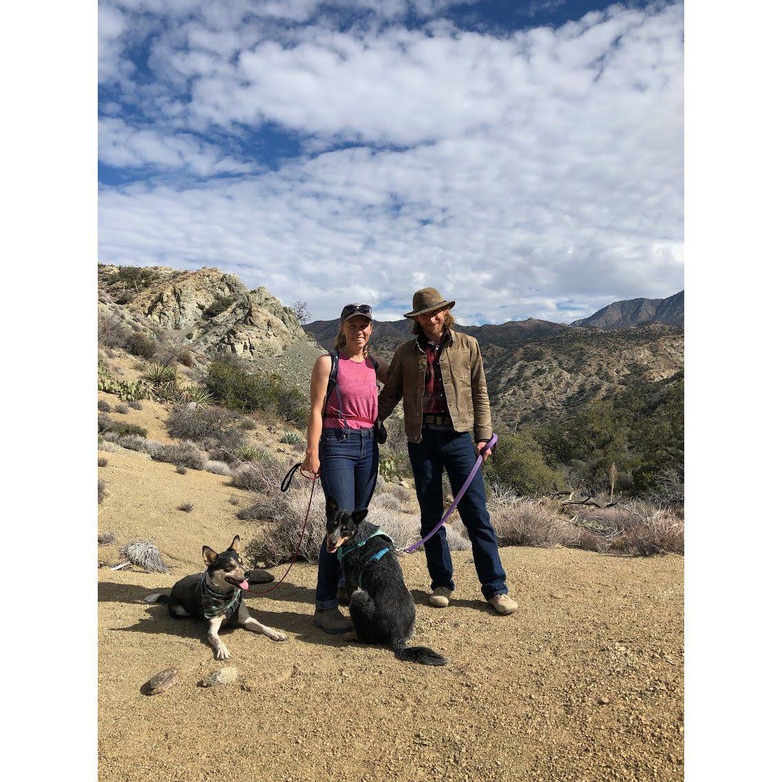 January 2020, Palm Springs California