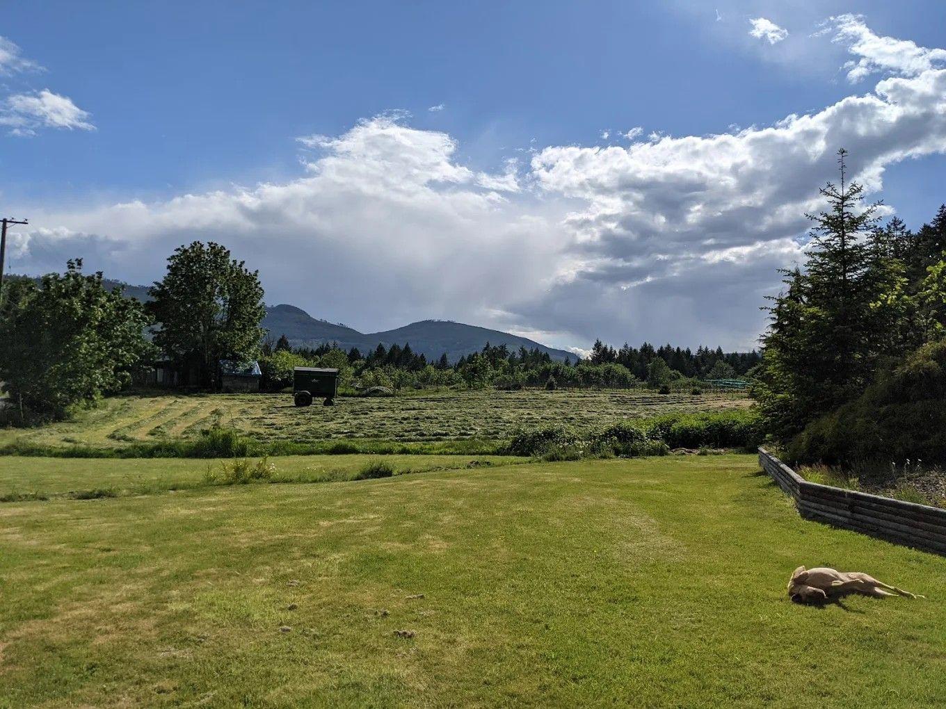 The Wedding Website of Shayal Singh and Michael Mann