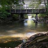 Dinosaur Hill Nature Preserve