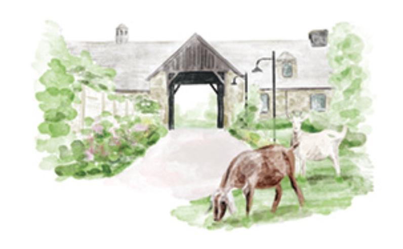 The Wedding Website of Alana Murphy and AJ Schmidt